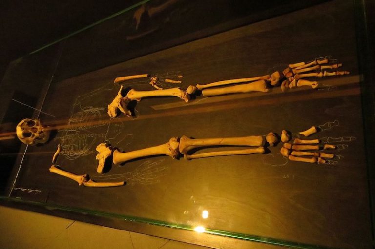 Homo Floresiensis Cuevas de Liang Bua