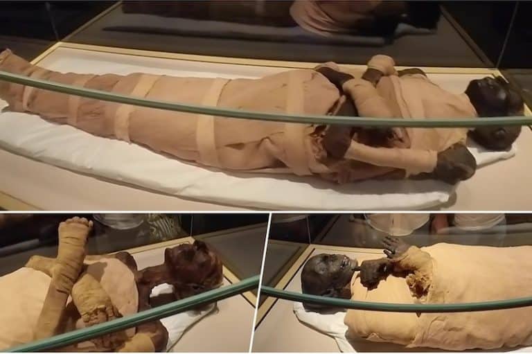 Dónde ver las momias reales egipcias en la actualidad